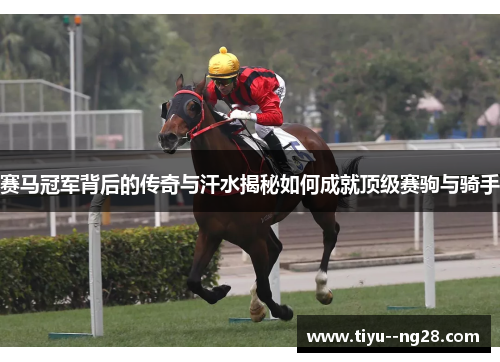 赛马冠军背后的传奇与汗水揭秘如何成就顶级赛驹与骑手 赛马冠军背后的传奇与汗水揭秘如何成就顶级赛驹与骑手