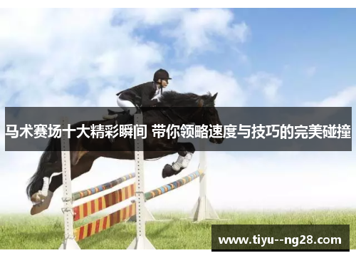 马术赛场十大精彩瞬间 带你领略速度与技巧的完美碰撞 马术赛场十大精彩瞬间 带你领略速度与技巧的完美碰撞