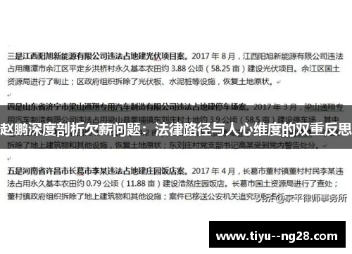 赵鹏深度剖析欠薪问题：法律路径与人心维度的双重反思