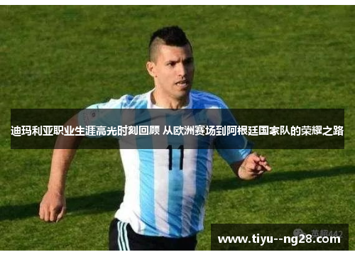 迪玛利亚职业生涯高光时刻回顾 从欧洲赛场到阿根廷国家队的荣耀之路 迪玛利亚职业生涯高光时刻回顾 从欧洲赛场到阿根廷国家队的荣耀之路